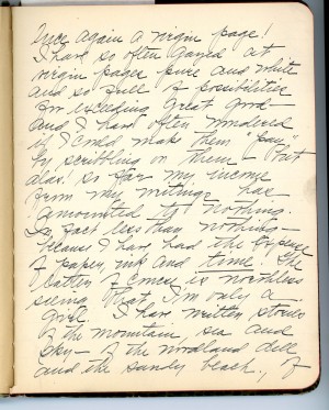 Walsh on the business of writing. 1906 diary, page 1.